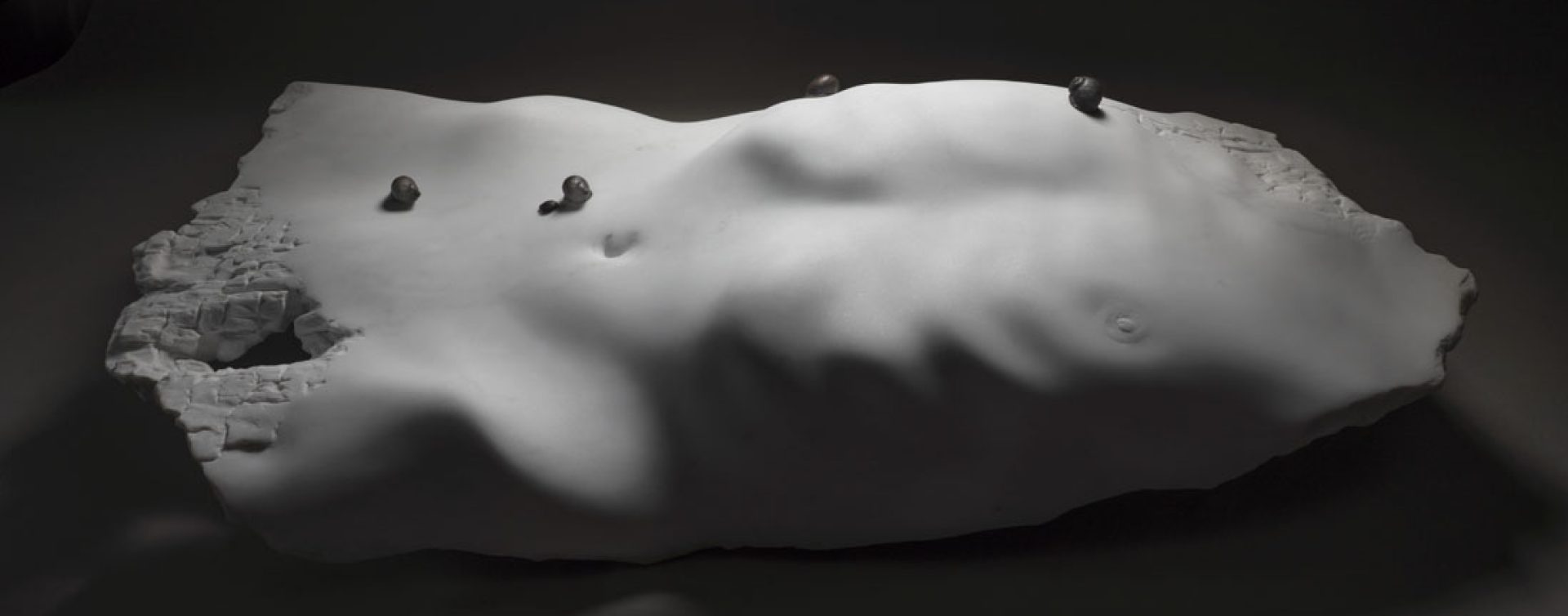 Corpus Mutatis-2